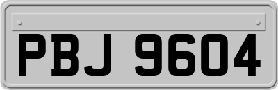 PBJ9604