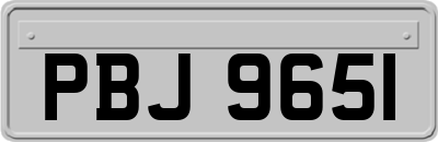 PBJ9651