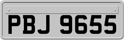 PBJ9655