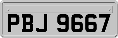 PBJ9667