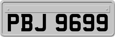 PBJ9699