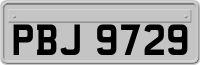 PBJ9729