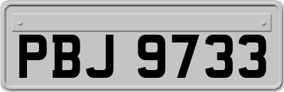 PBJ9733