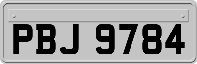 PBJ9784