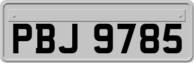 PBJ9785