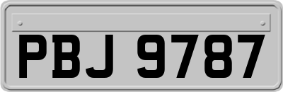 PBJ9787