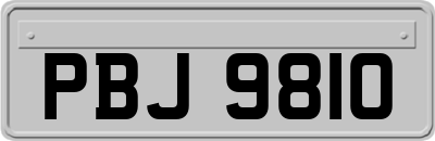 PBJ9810