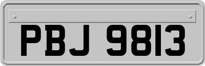 PBJ9813