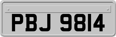 PBJ9814