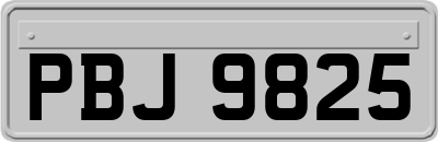 PBJ9825