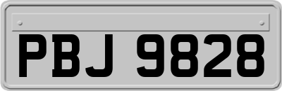 PBJ9828