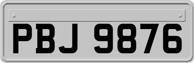 PBJ9876