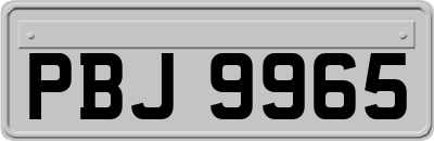 PBJ9965