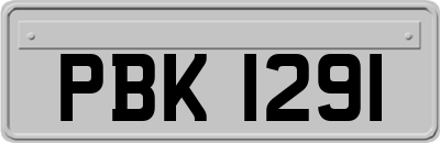 PBK1291