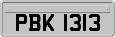 PBK1313