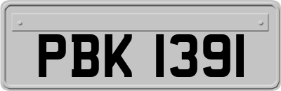 PBK1391