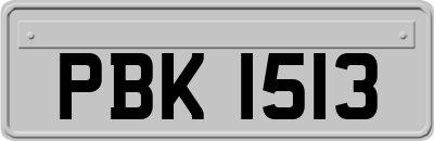 PBK1513