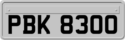 PBK8300