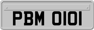 PBM0101