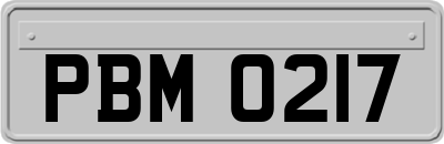 PBM0217