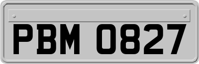 PBM0827