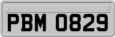 PBM0829