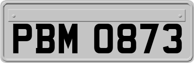 PBM0873