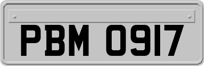 PBM0917