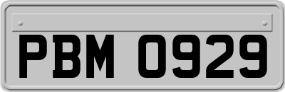 PBM0929