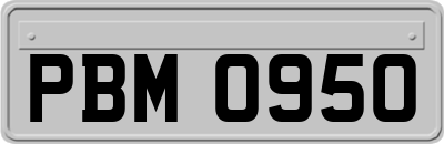 PBM0950