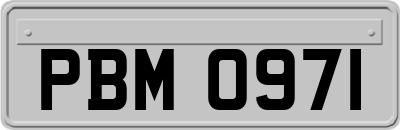 PBM0971