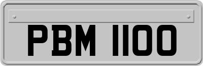 PBM1100