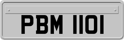 PBM1101