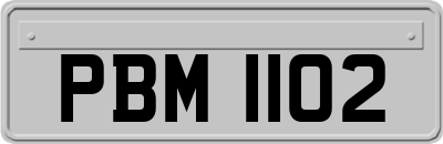 PBM1102