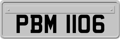 PBM1106