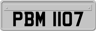 PBM1107