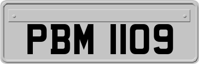 PBM1109