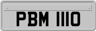 PBM1110