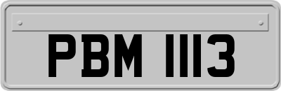 PBM1113