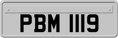 PBM1119