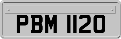 PBM1120