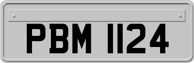 PBM1124