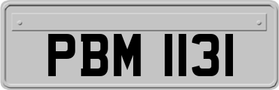 PBM1131