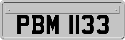 PBM1133