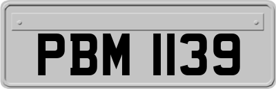 PBM1139