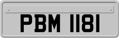 PBM1181