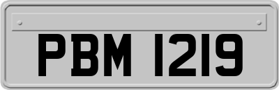 PBM1219