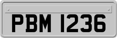 PBM1236