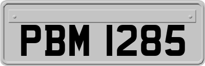 PBM1285