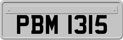 PBM1315